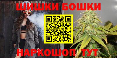 индика Нальчик