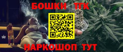 индика Нальчик