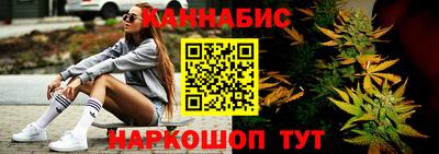 индика Нальчик