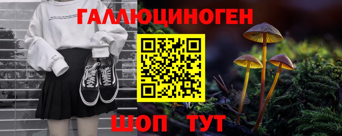 магазин продажи   Псилоцибиновые грибы Psilocybine cubensis  Вход с VPN  Валуйки 